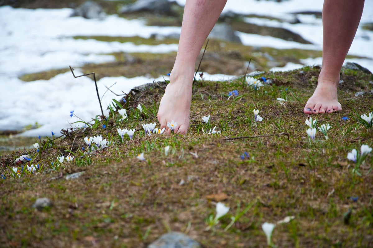 Feet 