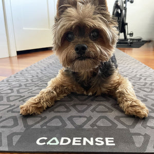 Dog on Cadense Yoga Mat
