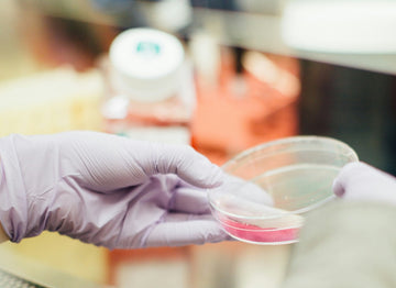 a person conducting lab tests