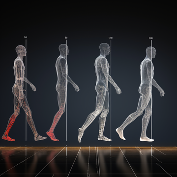 The Intricacies of Human Gait: Exploring the Different Types of Walking Patterns