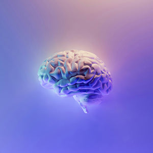 Image of a brain on a purple background