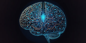 Illustration of a digitized brain
